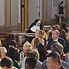 141.jpg