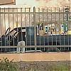201.jpg