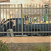 202.jpg