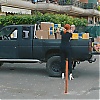 265.jpg