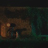 255.jpg