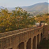 954.jpg