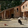 Filename=0118.jpg
Filesize=145KiB
Dimensions=1024x576
Date added=May 31, 2020 0118.jpg