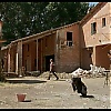 Filename=0119.jpg
Filesize=143KiB
Dimensions=1024x576
Date added=May 31, 2020 0119.jpg