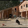Filename=0127.jpg
Filesize=133KiB
Dimensions=1024x576
Date added=May 31, 2020 0127.jpg