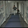 Filename=0676.jpg
Filesize=98KiB
Dimensions=1024x576
Date added=May 31, 2020 0676.jpg