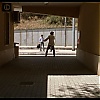 Filename=1069.jpg
Filesize=89KiB
Dimensions=1024x576
Date added=May 31, 2020 1069.jpg