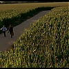 Filename=1600.jpg
Filesize=149KiB
Dimensions=1024x576
Date added=May 31, 2020 1600.jpg