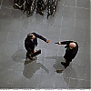 Filename=004.jpg
Filesize=538KiB
Dimensions=1500x999
Date added=Nov 18, 2021 004.jpg