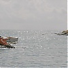 Filename=0636.jpg
Filesize=97KiB
Dimensions=1280x720
Date added=Feb 11, 2018 0636.jpg