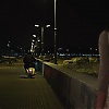 Filename=0463.jpg
Filesize=74KiB
Dimensions=1280x720
Date added=Mar 03, 2018 0463.jpg