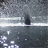Filename=0477.jpg
Filesize=152KiB
Dimensions=1280x720
Date added=Mar 03, 2018 0477.jpg