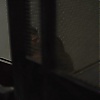 Filename=0954.jpg
Filesize=49KiB
Dimensions=1280x720
Date added=Mar 03, 2018 0954.jpg